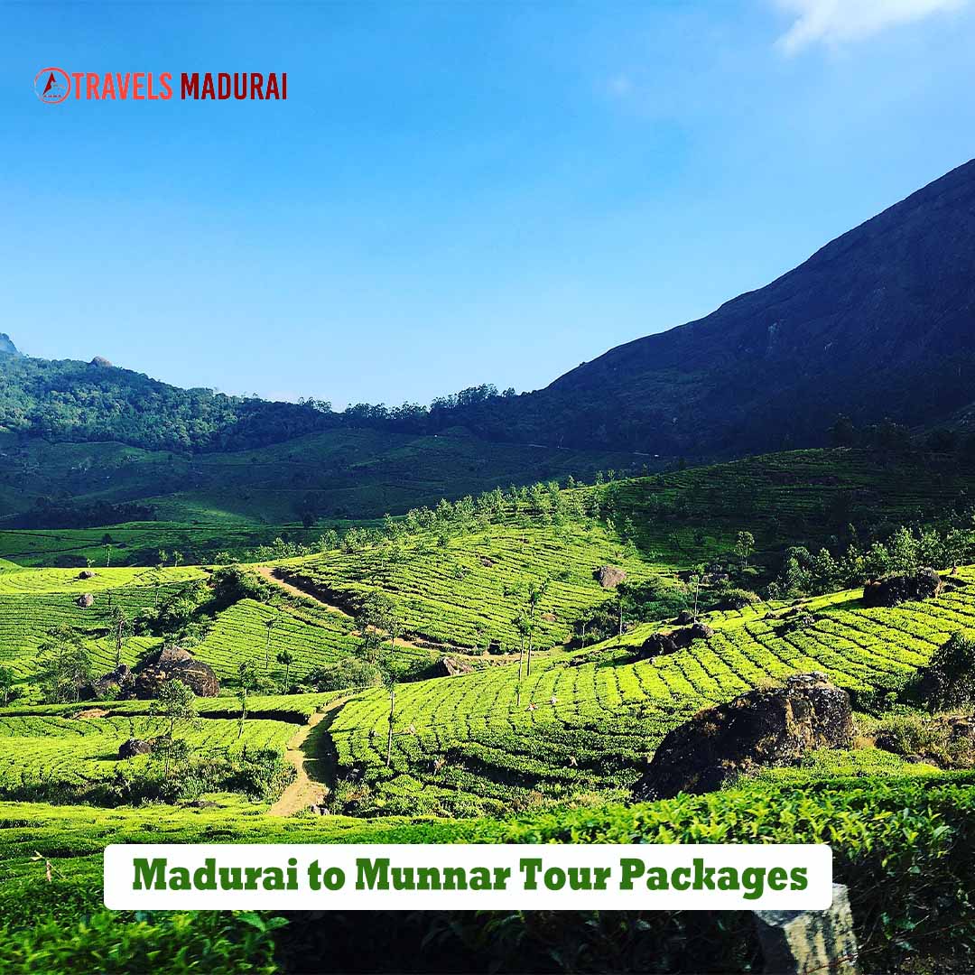 Madurai to Munnar Tour Packages ,Madurai Travels Tour Packages