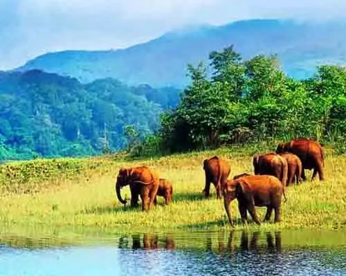 Neyyar Wildlife Sanctuary